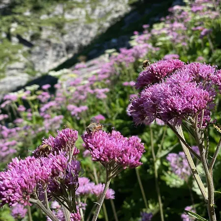 Chalet Irmi Hart Im Zillertal Zewnętrze zdjęcie